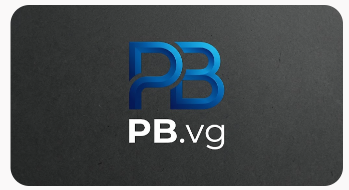 pb.vg Logo